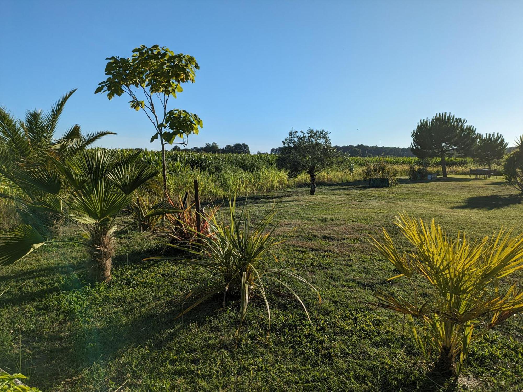 La Grange D'Hardy Villa Soustons Buitenkant foto