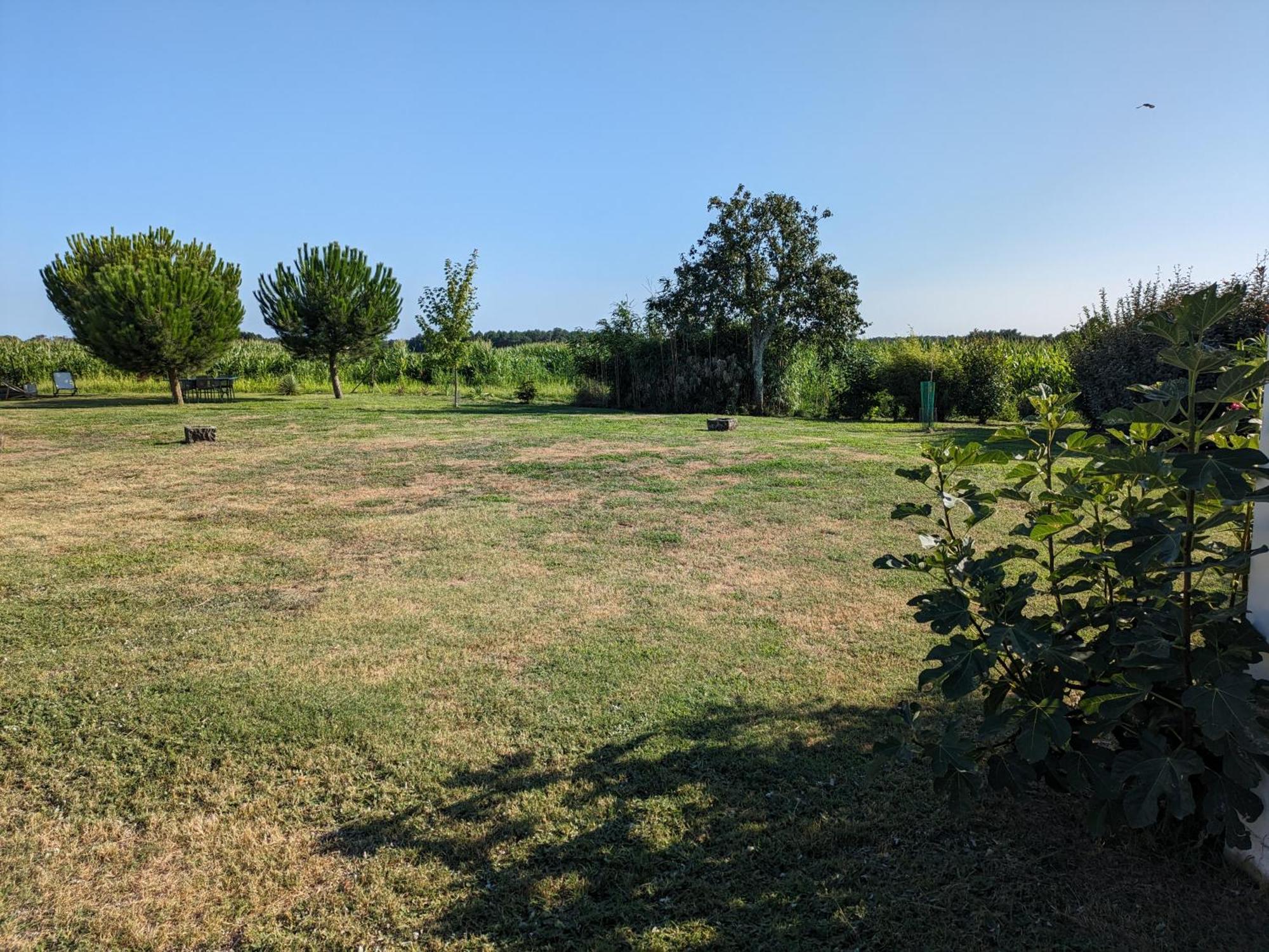 La Grange D'Hardy Villa Soustons Buitenkant foto