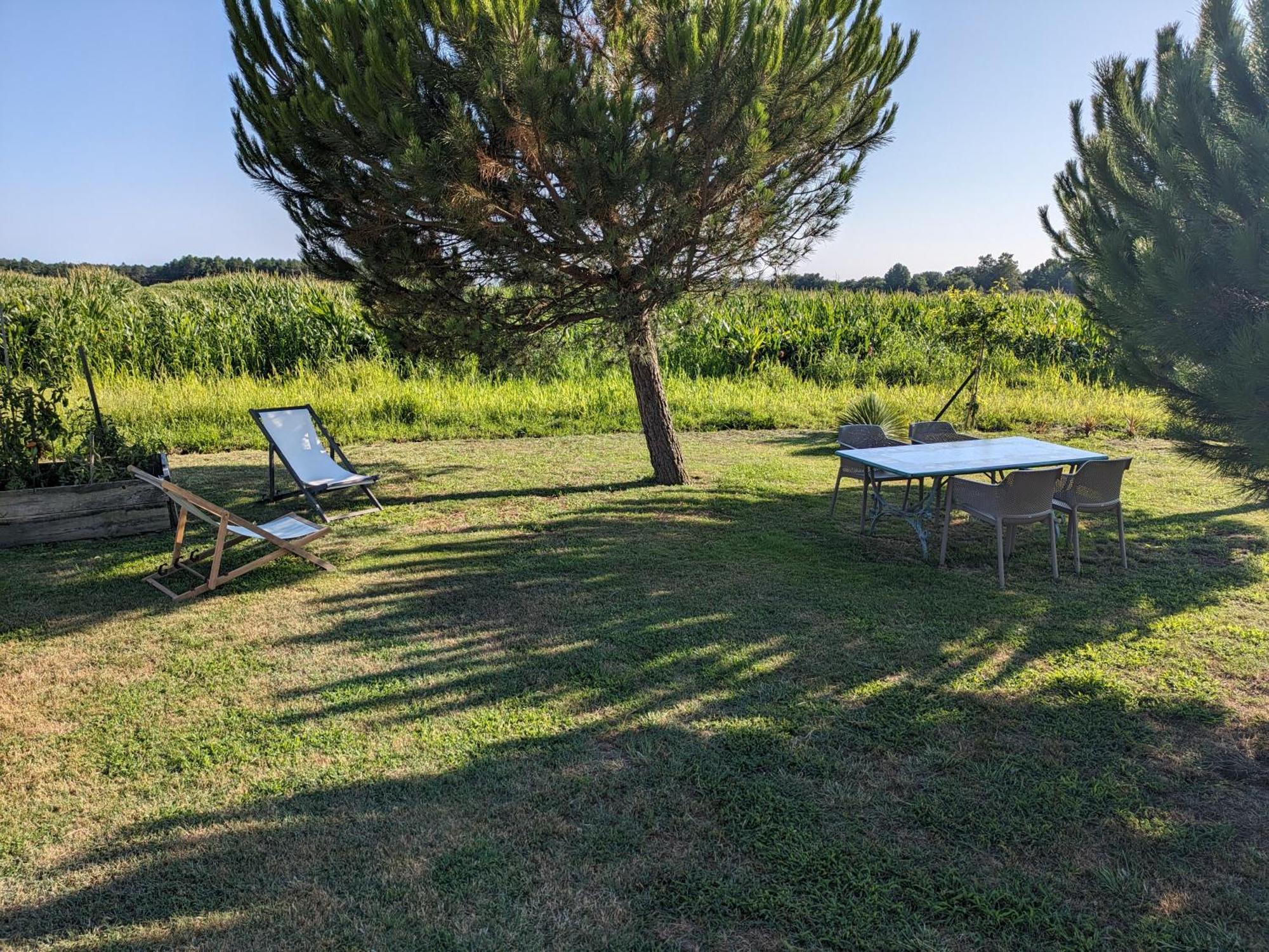 La Grange D'Hardy Villa Soustons Buitenkant foto